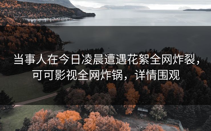 当事人在今日凌晨遭遇花絮全网炸裂,可可影视全网炸锅,详情围观