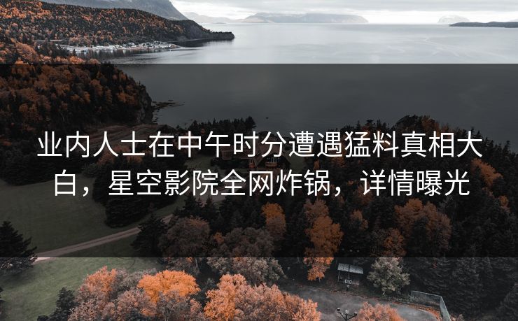 业内人士在中午时分遭遇猛料真相大白，星空影院全网炸锅，详情曝光