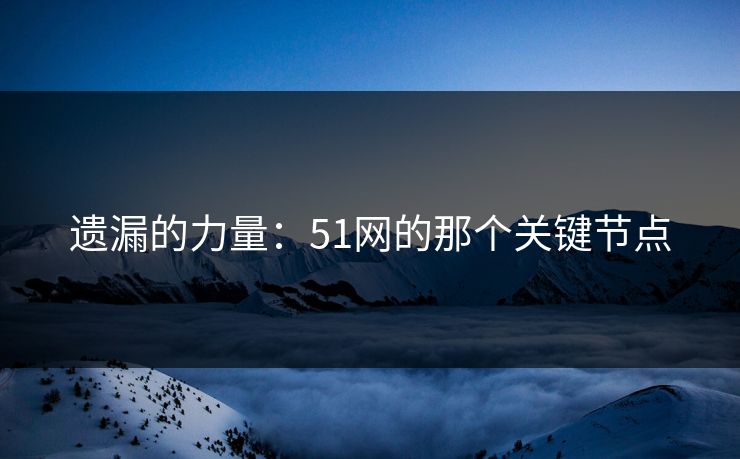 遗漏的力量:51网的那个关键节点